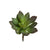 artificial succulent echeveria stem in green colour