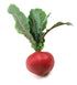 Artificial Beetroot