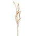 Golden Willow Branch