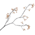 Gold Berry Stem