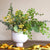 Faux Eucalyptus Branch