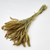 Dried Setaria Pendula Grass