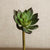 artificial succulent echeveria in green colour with short stem 