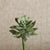 small blue/green artificial succulent on stem