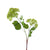 Lime green artificial viburnum flower stem