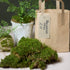 Preserved Moss - Flat Moss