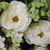 Faux Rose Stem - White