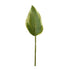 Artificial Hosta Leaf